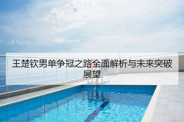 王楚钦男单争冠之路全面解析与未来突破展望
